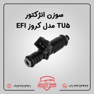 سوزن انژکتور Tu5 مدل کروز EFI